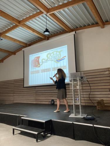 Ana-Maria Lennon-Duménil talk